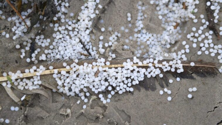 Marée de billes en plastique déferle sur les côtes de l'Espagne: les images impressionnantes 1 Minuscole palline di plastica su una spiaggia