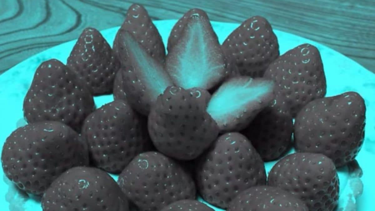 Si ces fraises vous semblent rouges, vous avez été trompés : l'explication 2 Si ces fraises vous semblent rouges vous avez ete trompes