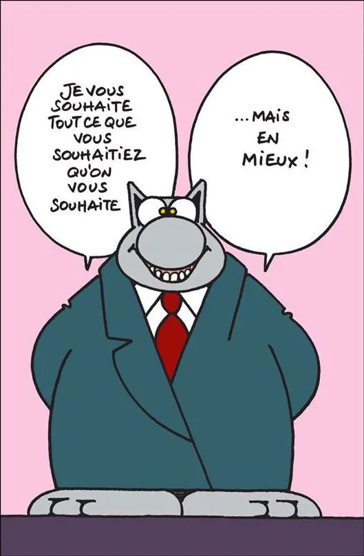Joyeuse Épiphanie 2025 : images et gifs amusants à partager pour célébrer la Befana 14 Joyeuse Epiphanie Drole Humour Chat