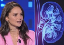 Come si vive con un rene solo e perché il caso di Francesca Michielin non è raro