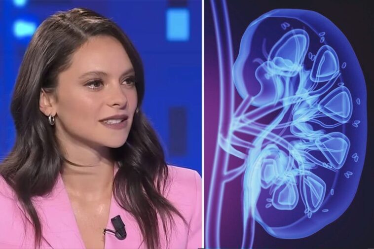 Comment vit-on avec un seul rein et pourquoi le cas de Francesca Michielin n'est-il pas rare 1 Come si vive con un rene solo e perché il caso di Francesca Michielin non è raro