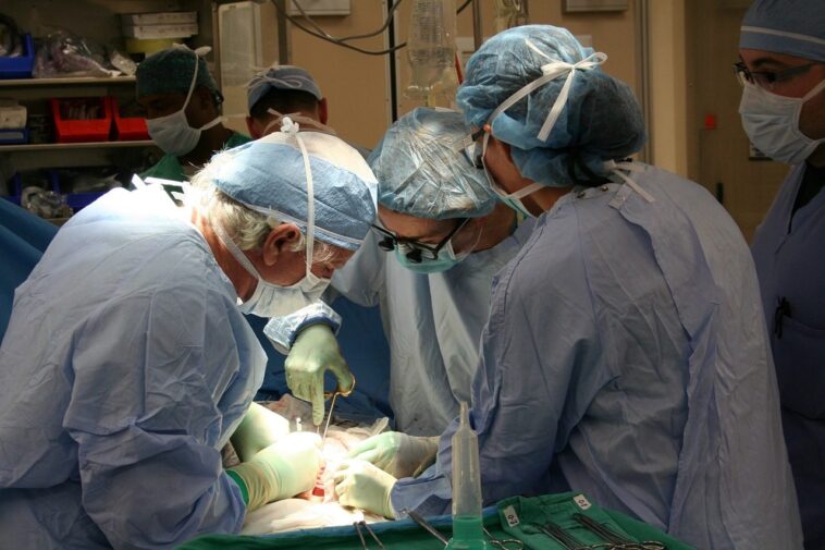 Qu'est-ce que la donation à cœur arrêté et pourquoi est-elle si importante pour les transplantations d'organes 1 Cos’è la donazione a cuore fermo e perché è così importante per i trapianti d’organo