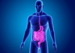 “É uma loucura”: foi encontrada uma nova classe de vida no sistema digestivo humano