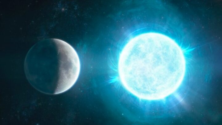 1707341437 759 James Webb decouvre deux mondes extraterrestres autour des corps de
