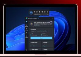 Windows 11 Microsoft PC Manager app