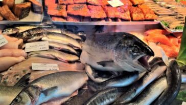 Pourquoi les chercheurs affirment que manger ce type de poisson abaisse le cholestérol 16 Perché i ricercatori dicono che mangiare questo tipo di pesce abbassa il colesterolo