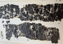 Il y a 2 000 ans, le Vésuve a dévoré Pompéi et Herculanum : aujourd'hui, l'IA fait revivre leurs bibliothèques 91 Hace 2.000 años el Vesubio devoró Pompeya y Herculano: ahora, la IA está reviviendo sus bibliotecas