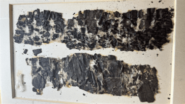 Hace 2.000 años el Vesubio devoró Pompeya y Herculano: ahora, la IA está reviviendo sus bibliotecas