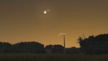 Aujourd'hui, dimanche 11 février 2024, Saturne fait équipe avec la Lune : à quelle heure les voir et comment les reconnaître 30 Oggi, domenica 11 febbraio 2024, Saturno duetta con la Luna: a che ora vederli e come riconoscerli