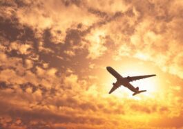 Dépense 7 000 euros pour un voyage à New York: à l'aéroport, découvre qu'il n'y a même pas d'avion 35 Spende 7.000 euro per un viaggio a New York: in aeroporto scopre che non c’è nemmeno l’aereo