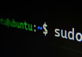Après tout, sudo de Microsoft fonctionne sans problème sous Windows 10 et Windows 7 23 Windows 11 sudo Microsoft Windows 10 Windows 7