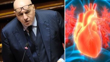 Qu'est-ce que la péricardite, symptômes et causes de l'inflammation suspectée du péricarde subie par Crosetto 16 Cos’è la pericardite, sintomi e cause della sospetta infiammazione del pericardio avuta da Crosetto