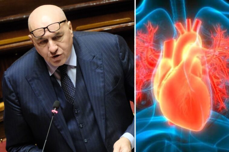 Qu'est-ce que la péricardite, symptômes et causes de l'inflammation suspectée du péricarde subie par Crosetto 1 Cos’è la pericardite, sintomi e cause della sospetta infiammazione del pericardio avuta da Crosetto