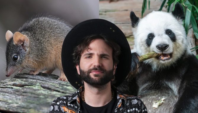 Cannibalisme, bondage et communiqués records : Barbe-Noire X dévoile les secrets de l'amour entre les animaux 1 Immagine