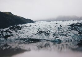 “Dove c’era il ghiaccio, ora c’è il verde”: cosa sta succedendo in Groenlandia