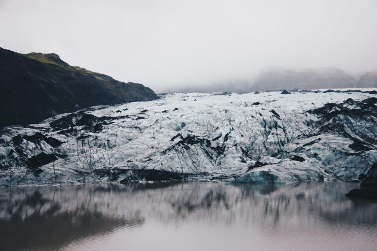 "Où il y avait de la glace, il y a maintenant du vert" : que se passe-t-il au Groenland ? 1 “Dove c’era il ghiaccio, ora c’è il verde”: cosa sta succedendo in Groenlandia