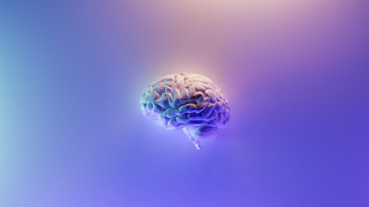 Pour la première fois, un enfant de 13 ans est guéri d'un cancer cérébral mortel 5 Cerveau (Alzheimer)