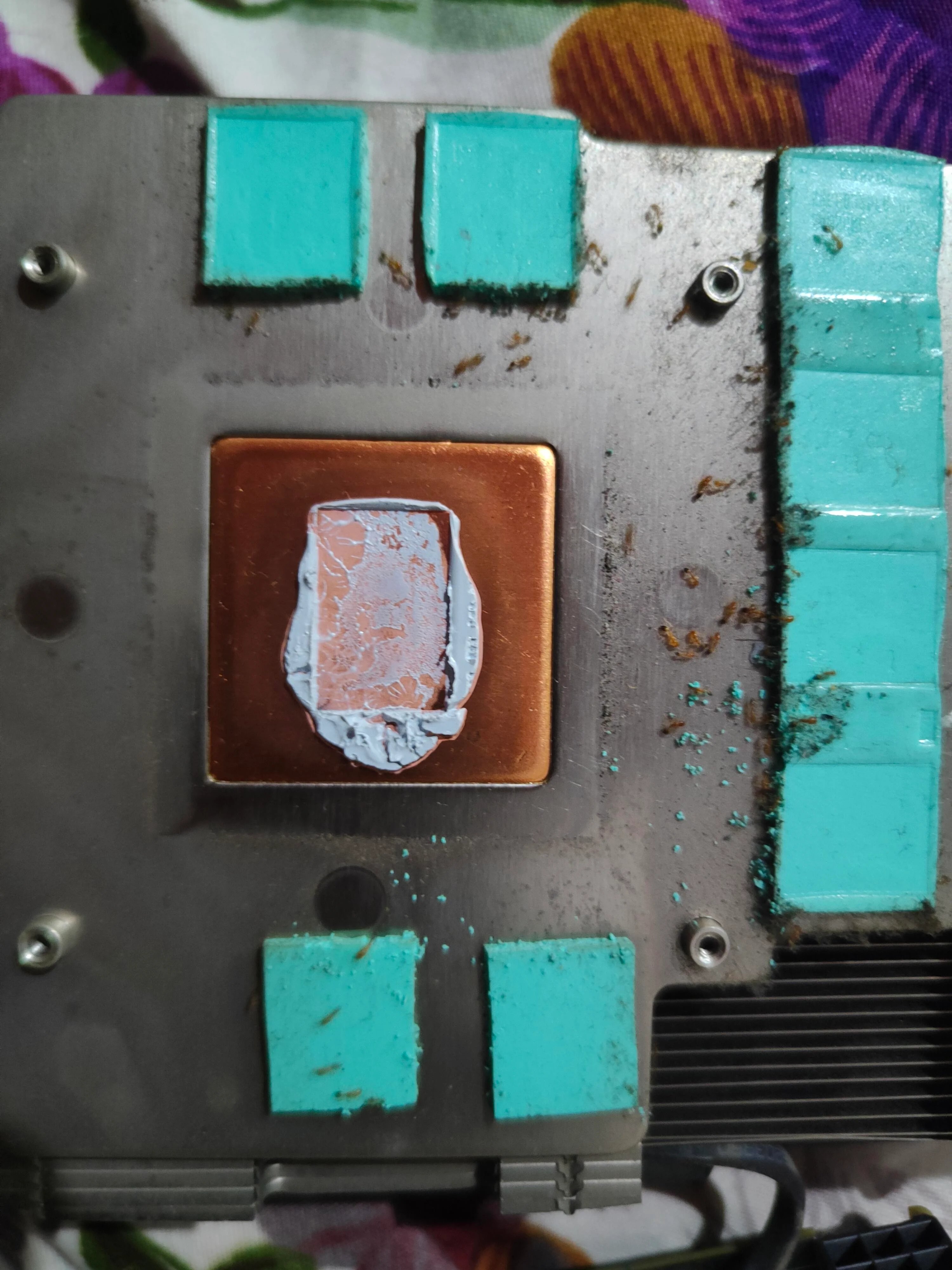 Son PC a commencé à mal fonctionner. En l'ouvrant, il a découvert une invasion qui l'a détruit de l'intérieur 4 Son PC a commencé à mal fonctionner. En l'ouvrant, il a découvert une invasion de fourmis qui l'a détruit de l'intérieur