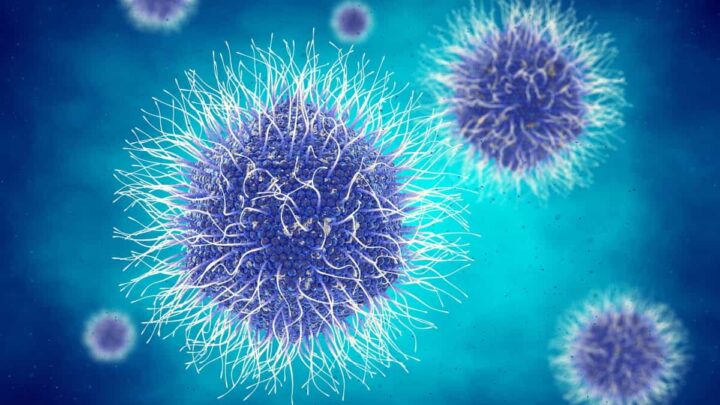 Qui l'aurait cru…Les virus peuvent nous aider à lutter contre les changements climatiques 3 1708261523 778 Qui laurait cru…Les virus peuvent nous aider a lutter contre