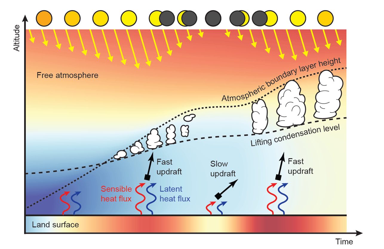 L'évolution des nuages lors d'une éclipse solaire : la réduction de la lumière solaire peut refroidir le sol, ralentissant les courants ascendants chauds responsables de la formation des cumulus. Cela fait que les cumulus disparaissent rapidement. Une fois l'éclipse solaire terminée, le sol se réchauffe à nouveau et de nouveaux cumulus se forment / Crédit : Trees V et al., Communicatin Earth Environment 2024.
