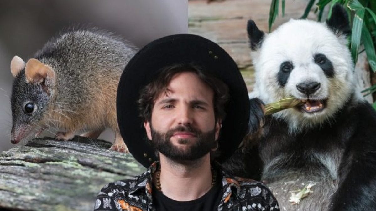 Cannibalisme, bondage et communiqués records : Barbe-Noire X dévoile les secrets de l'amour entre les animaux 2 Image