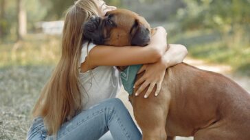 Cet algorithme est capable de te dire quel est le chien parfait pour toi : comment ça fonctionne 17 Questo algoritmo è in grado di dirti qual è il cane perfetto per te: come funziona