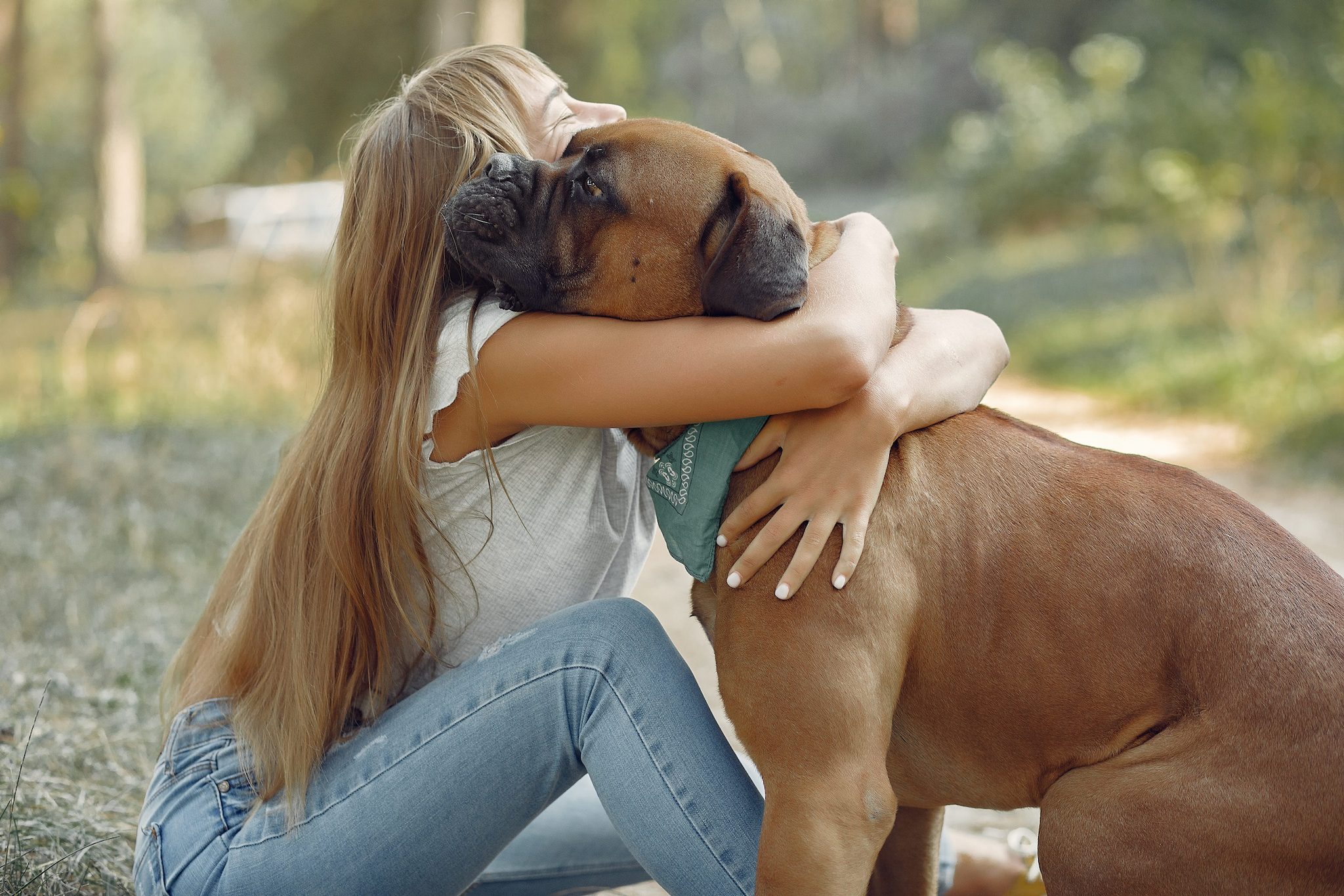 Questo algoritmo è in grado di dirti qual è il cane perfetto per te: come funziona