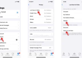 Comment apparaître hors ligne sur WhatsApp 75 Comment apparaître hors ligne sur WhatsApp