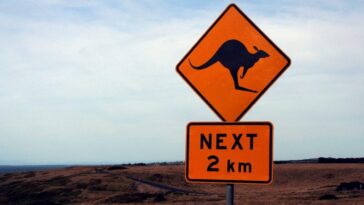 Ils suivent Google Maps et se perdent dans la nature sauvage : des touristes retrouvés en Australie après une semaine 18 Image