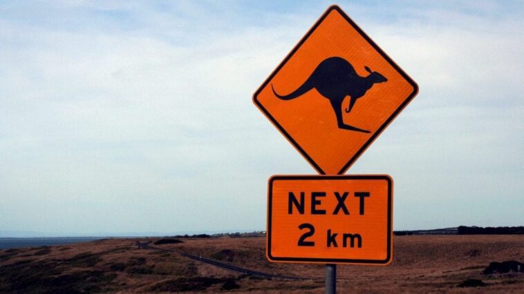 Ils suivent Google Maps et se perdent dans la nature sauvage : des touristes retrouvés en Australie après une semaine 1 Image