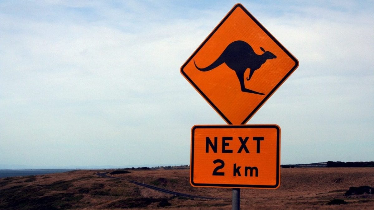 Ils suivent Google Maps et se perdent dans la nature sauvage : des touristes retrouvés en Australie après une semaine 2 Image