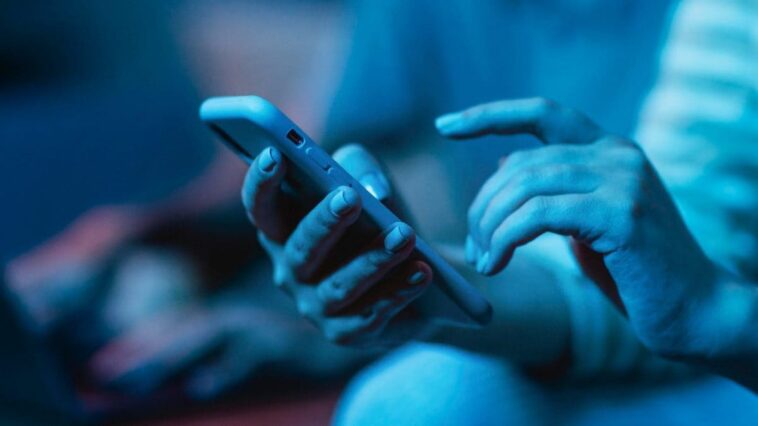 La plupart des parents ont peur de ce que leurs enfants font sur internet : que disent les données 1 Image