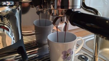 À quoi sert les Quatre Tamis/Filtres essentiels de la machine à café 10 Porte-filtre dans une machine à expresso Sage (Photo: Peter Giesecke)