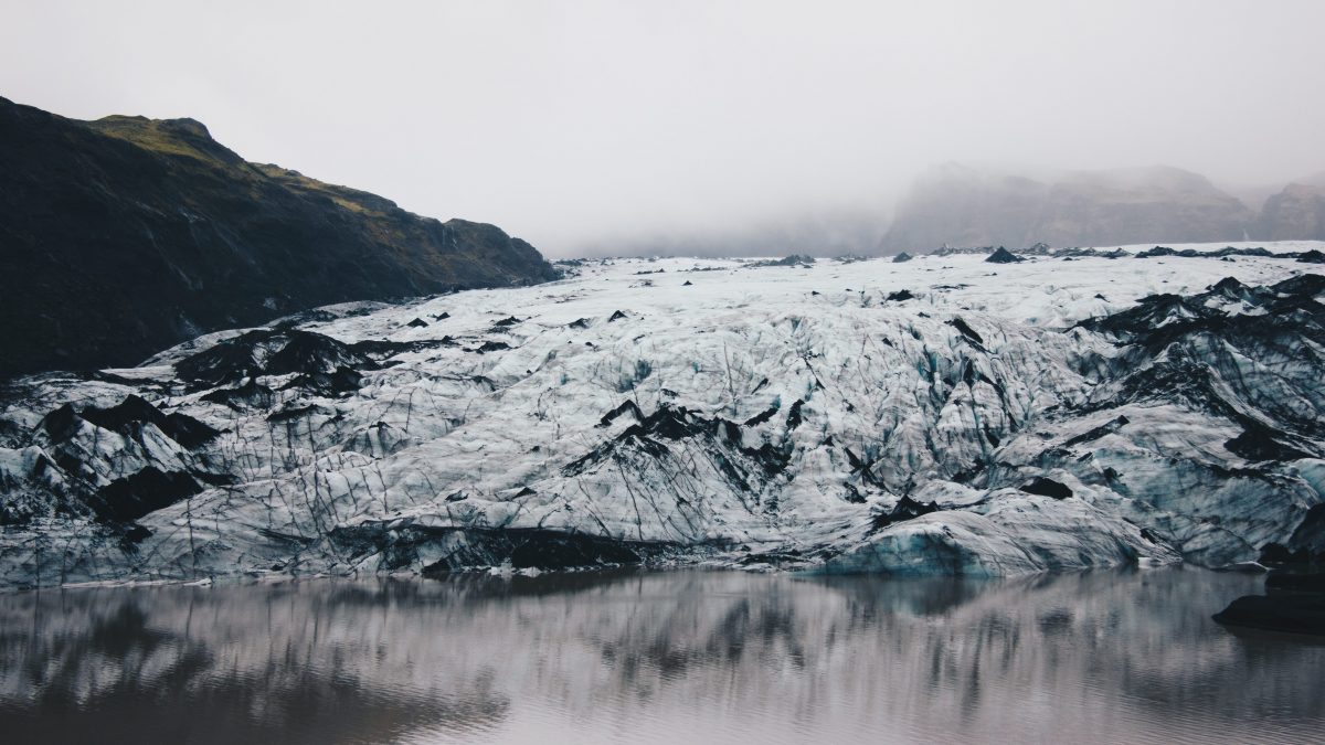 "Où il y avait de la glace, il y a maintenant du vert" : que se passe-t-il au Groenland ? 2 Image