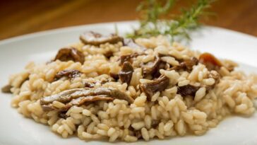 Pourquoi le changement climatique risque de faire disparaître le risotto de nos tables 26 Immagine