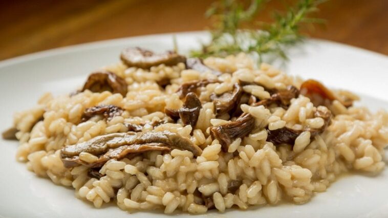 Pourquoi le changement climatique risque de faire disparaître le risotto de nos tables 1 Immagine