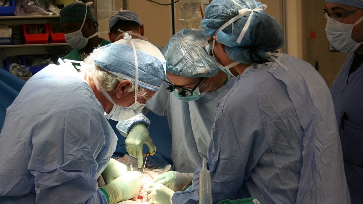 Qu'est-ce que la donation à cœur arrêté et pourquoi est-elle si importante pour les transplantations d'organes 2 Image