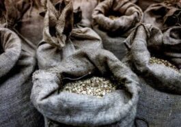 AL-ARABIYA | Sacchi pieni di Captagon