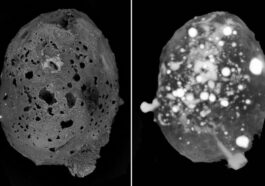 La micrométéorite dans laquelle le quasicristal a été détecté. Crédit : Communications Earth & Environment
