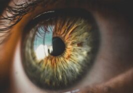 Scannerez-vous votre iris contre des cryptomonnaies ? L'accord controversé proposé par Worldcoin 16 Scannerez-vous votre iris contre des cryptomonnaies ? L'affaire controversée proposée par Worldcoin