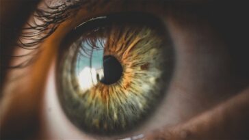 Scannerez-vous votre iris contre des cryptomonnaies ? L'accord controversé proposé par Worldcoin 16 Scannerez-vous votre iris contre des cryptomonnaies ? L'affaire controversée proposée par Worldcoin