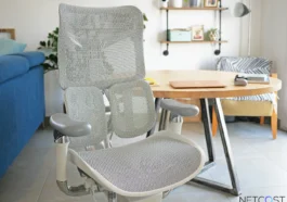 Sihoo Doro S300 Ergonomic Office Chair Reviews Netcost (29)