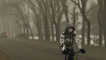 Smog et pollution atmosphérique, effets sur la santé cardiaque même en deçà du seuil d'alerte 28 Image