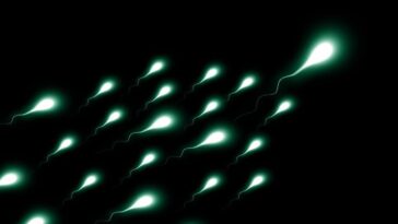 Une nouvelle méthode promet de résoudre l'une des principales causes d'infertilité masculine 1 Immagine