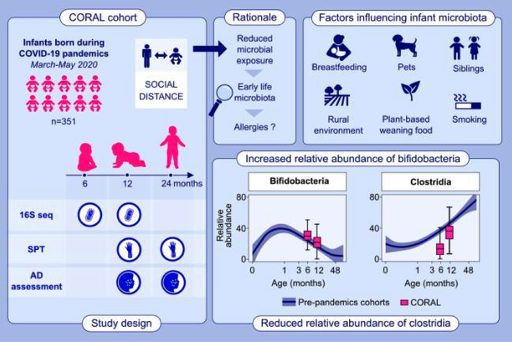 Les enfants nés pendant le confinement semblent moins souffrir d'allergies : les résultats de l'étude 3 APC MICROBIOME IRLAND | Infographie de l'étude