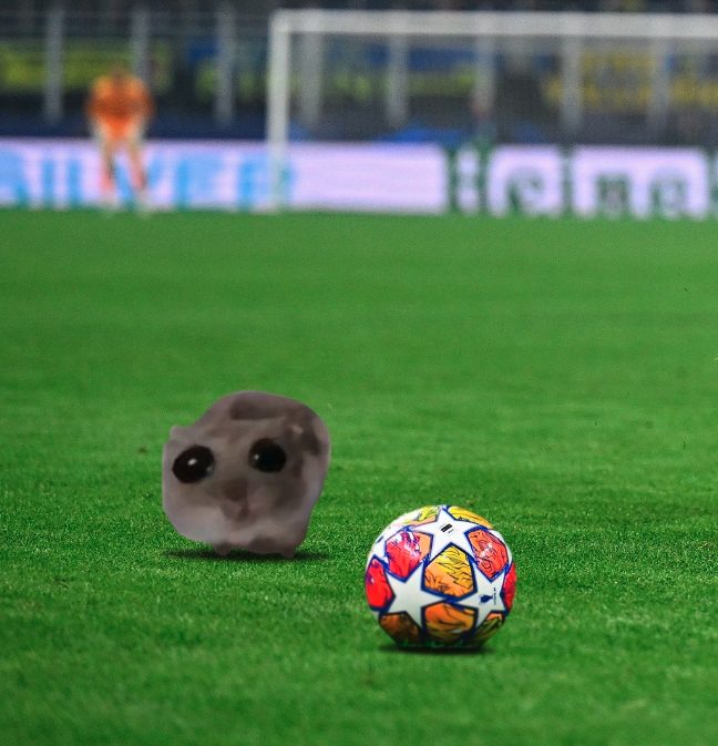 Comment est né le mème hamster triste : qui raconte notre incapacité à être dans le monde 3 TIKTOK | Le meme d'un hamster triste qui n'arrive pas à frapper un ballon diffusé par le compte de l'Inter