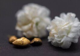 Scientists use dairy waste to extract 22-carat gold from motherboards and other e-waste