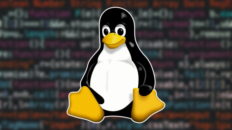 La part de marché de Linux sur les ordinateurs de bureau atteint un niveau record 1 Linux market share on desktop computers reaches an all-time high