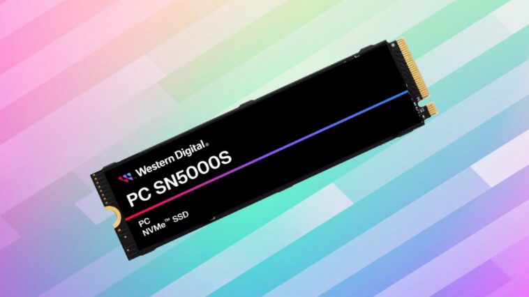 Les derniers SSD d'entrée de gamme de Western Digital offrent des performances décentes mais il y a un hic 1 Western Digital