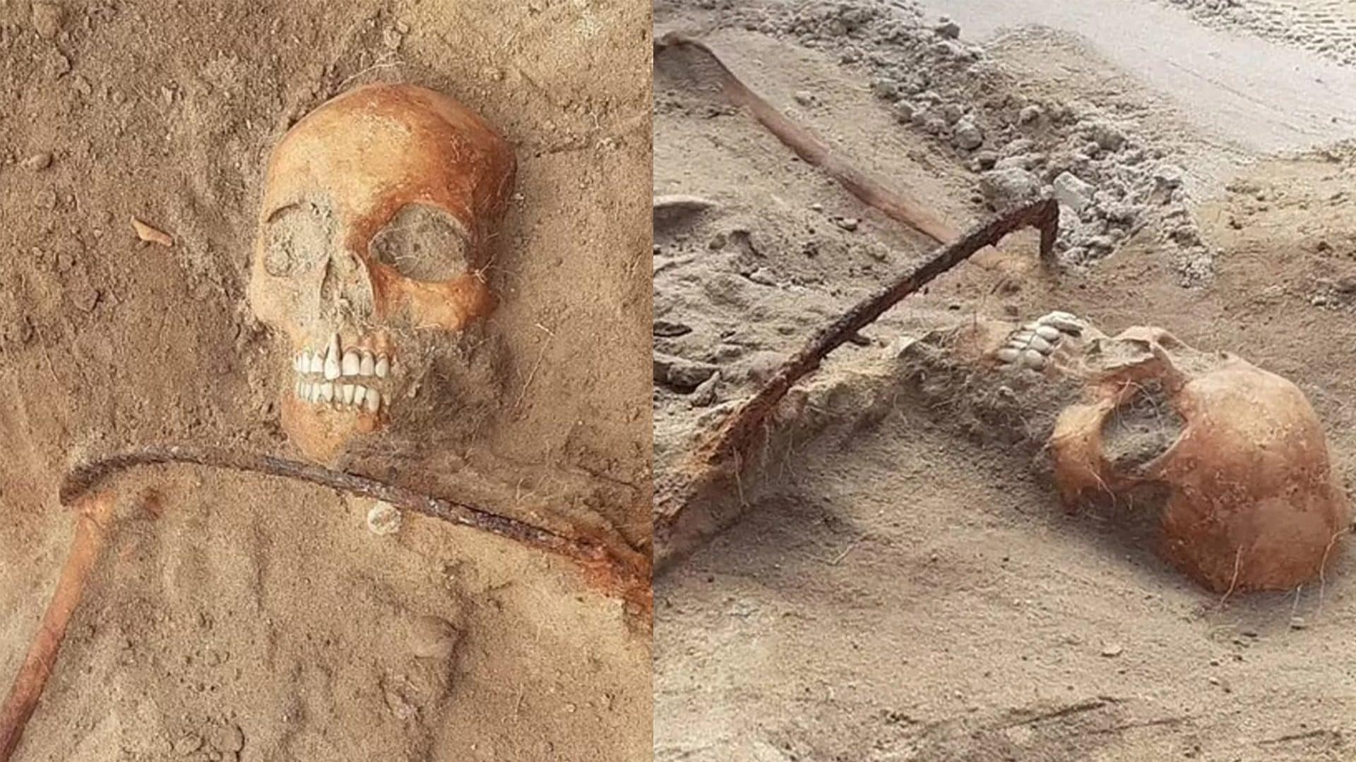 Le vrai visage de la femme "vampire" enterrée avec une brique dans la bouche : l'explication du professeur Borrini 3 La femme "vampire" avec la faux sur la gorge. Crédit : Mirosław Blicharski